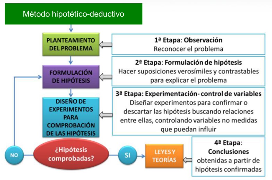 HIPOTÉTICO-DEDUCTIVO