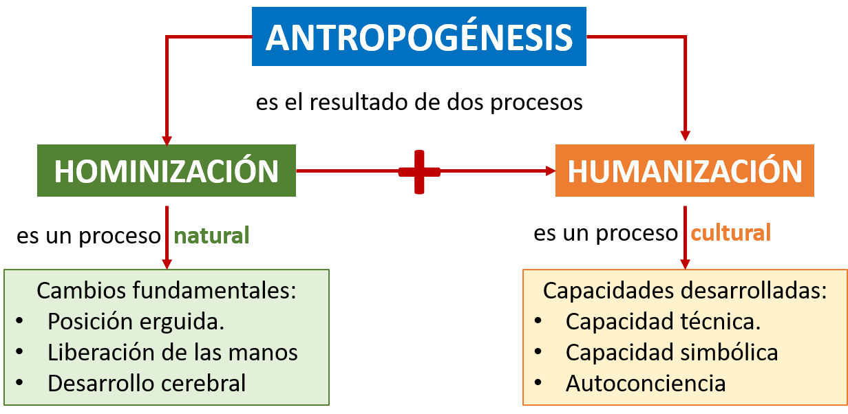 ANTROPOGÉNESIS