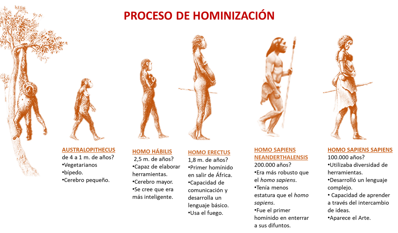 HOMINIZACIÓN