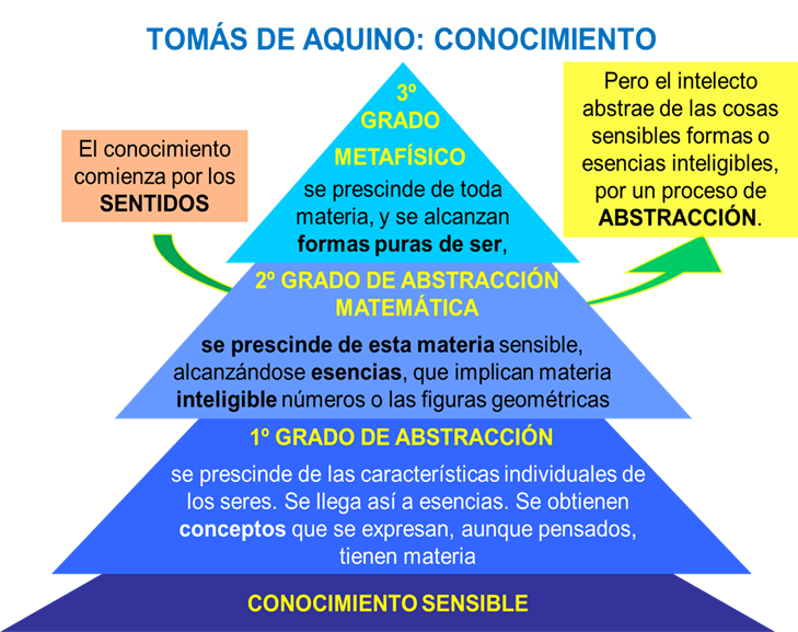 TOMÁS DE AQUINO: GNOSEOLOGÍA