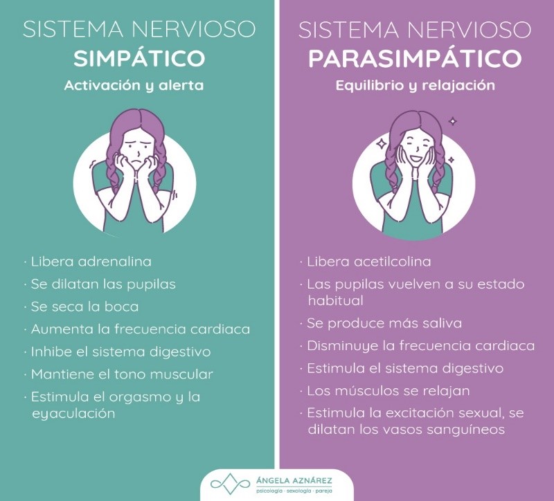 SISTEMA SIMPATICO Y PARASIMPATICO