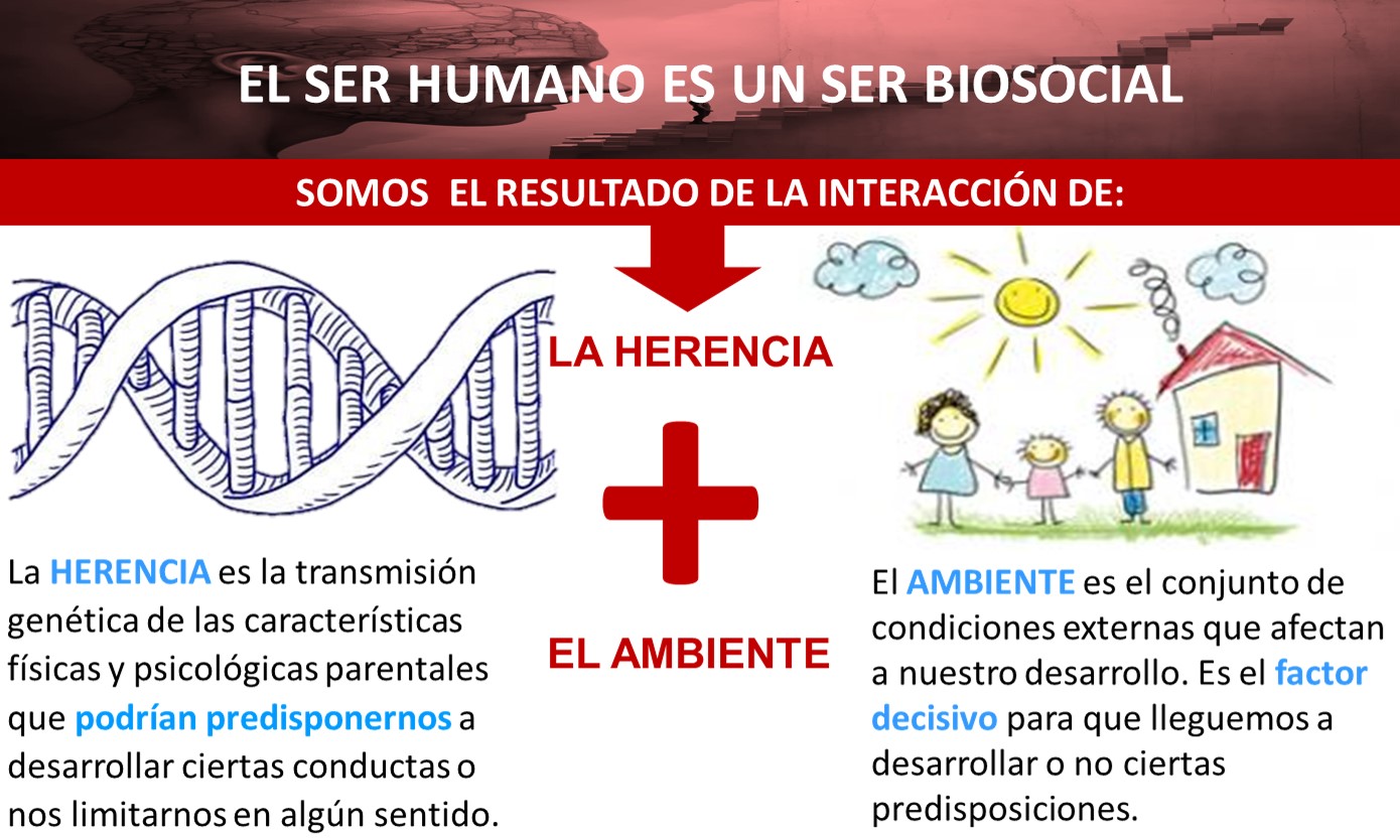 SER HUMANO BIOSOCIAL